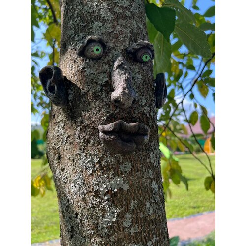 ������ ������ ���� ������ �� ������ � ����� ����