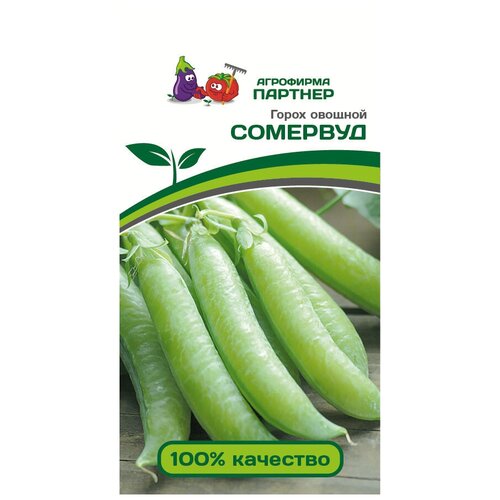 ������ ������ ����� 