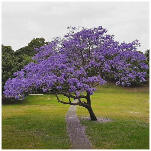 ������ ������ ������ ������ ��������� 30 ��. ����