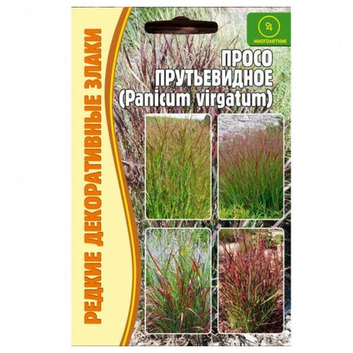 ������ ������ ������ ����� ������������ (Panicum virgatum) (0,1 �) ����
