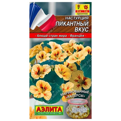 ������ ������ ��������� 