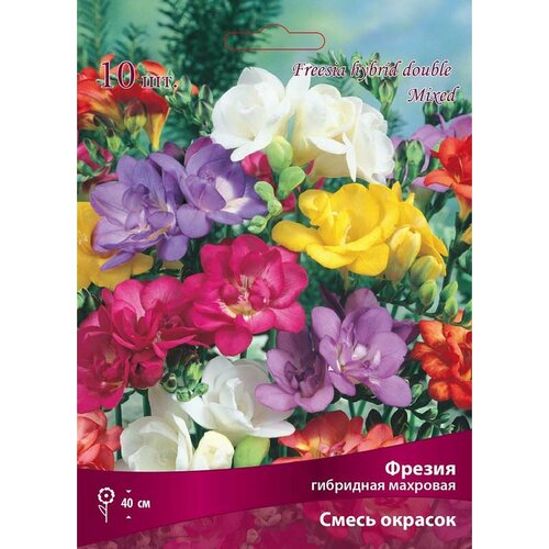 ������ ������ �������� ������ �������� ��������� ����� 10 x 1 �� ����