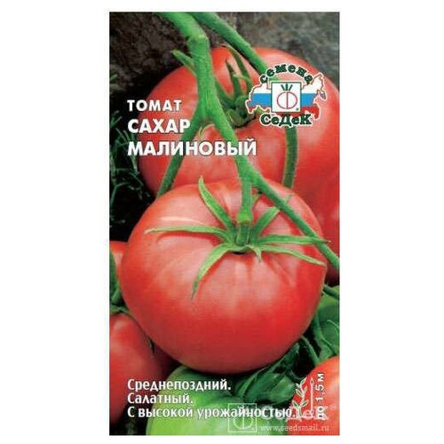 ������ ������ ������ ������ ����� ��������� ����