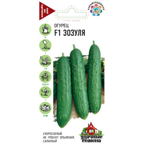 ������ ������ ������ ������� ������ ������� ������ ������ ������ F1 10 ��. ����