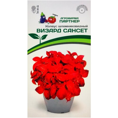 ������ ������ ������ ������� ��������������� 