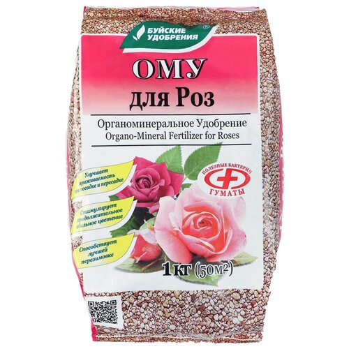 ������ ������ ��� 