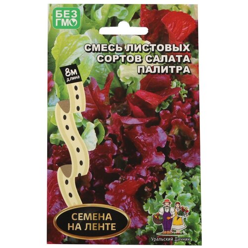 ������ ������ ������ ��������� ������ ����� �������� ������ ������ ������� ����� 8 � ����