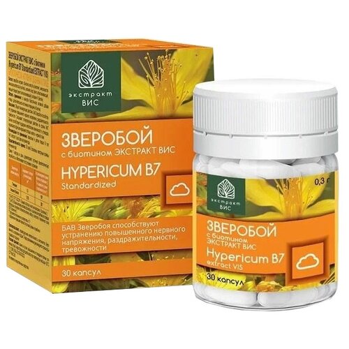 ������ ������ �������� � �������� �������� ����., 175 ��, 32 �, 30 ��. ����