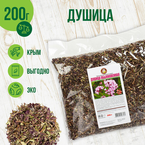 ������ ������ ������ �������, 200� ����