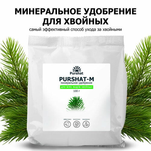 ������ ������ ��������� ������ ����������� ��� ������� �������� 100 �� ����