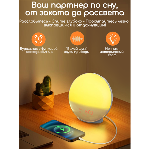 ������ ������ ����/ ���������/ �������� �������� � ������ ����