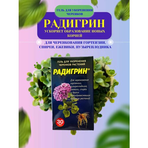 ������ ������ ���� ��� ���������� ����������� �����, 30 �� ����