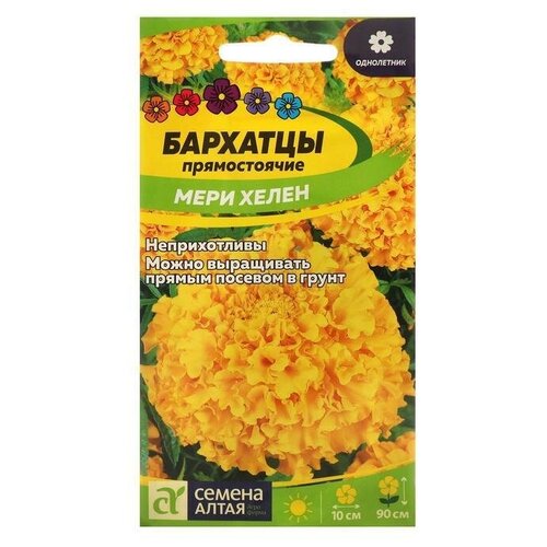 ������ ������ ������ ������ �������� 