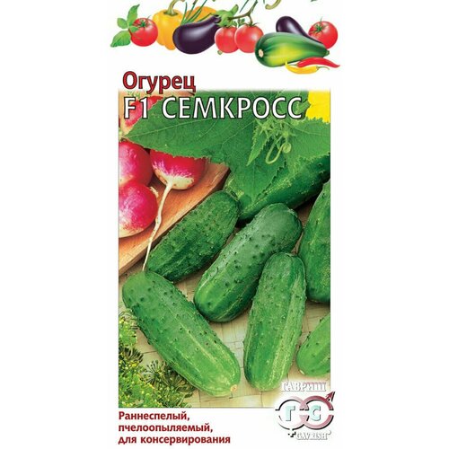 ������ ������ ������ ������ �������� F1, 10��, ������, ������� ��������� ����