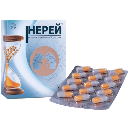 ������ ������ ����� ����., 60 ��. ����