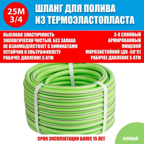 ������ ������ ����� ��� ������ ��� 3/4 19�� ������� ����