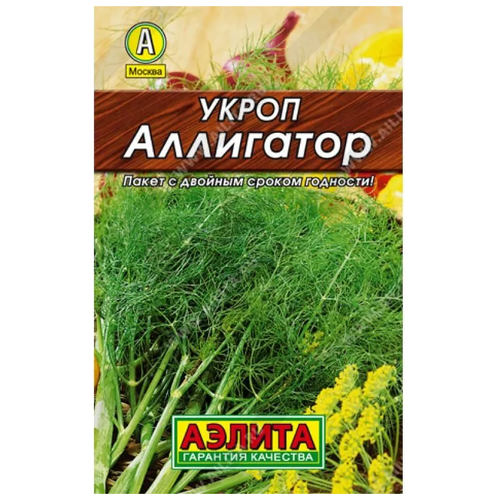 ������ ������ ����� ��������� (2 �) ����