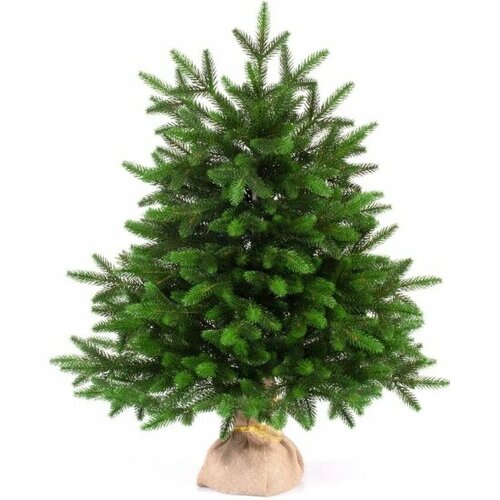 ������ ������ ��� ������������� ���� ���� ����� 60 �� ����