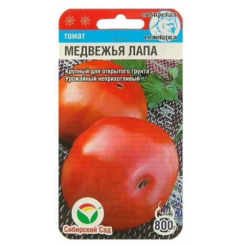 ������ ������ ������ ����� 