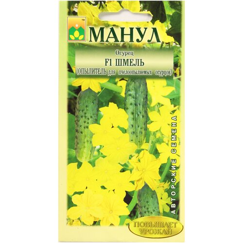 ������ ������ ������ F1 ����� (���������) 10 �� ����� ����