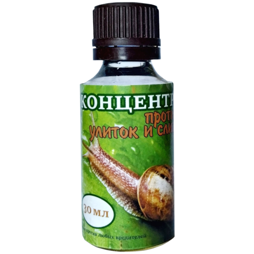 ������ ������ ���������� ������ ������ � ������� 30 �� ����