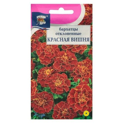 ������ ������ ������ ������ �� �������� ����. 