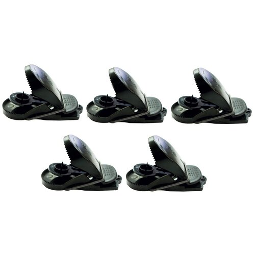 ������ ������ Rubit ��������� ������� - 5 ��. ����