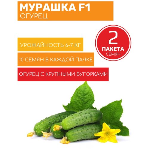 ������ ������ ������ ������� F1 �������� 2 ������ �� 10�� ����� ����