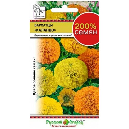 ������ ������ ������. �����. �������� 