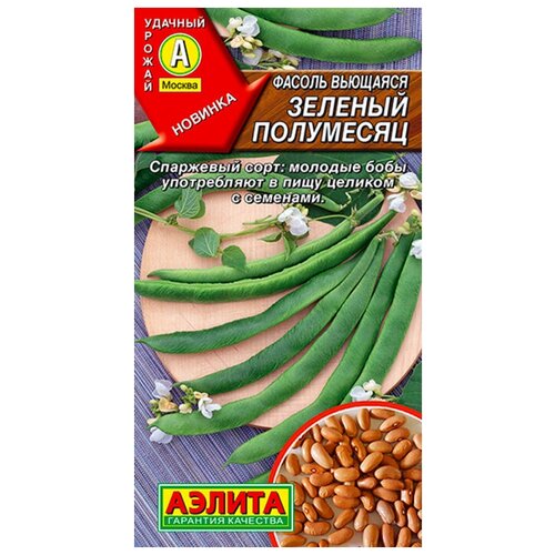 ������ ������ ������. ������ �������� 