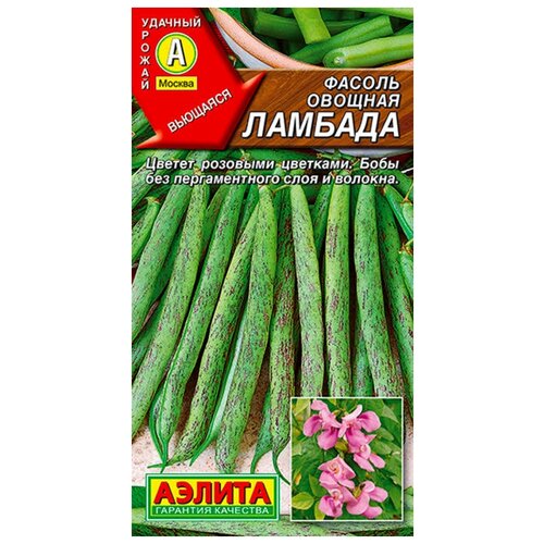 ������ ������ ������. ������ ������� 