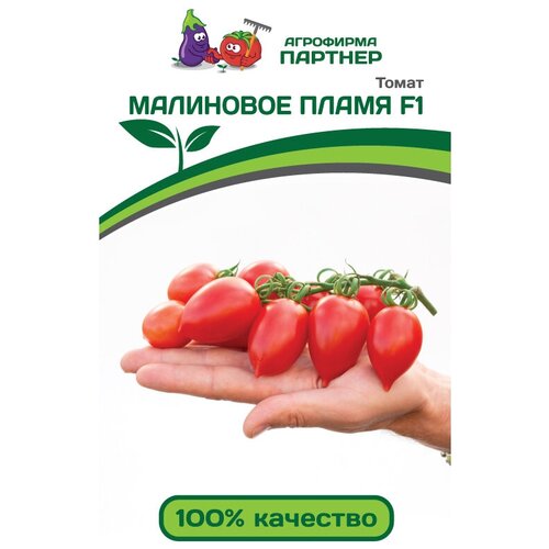 ������ ������ ������ ����� ��������� ����� F1 (10���) ����