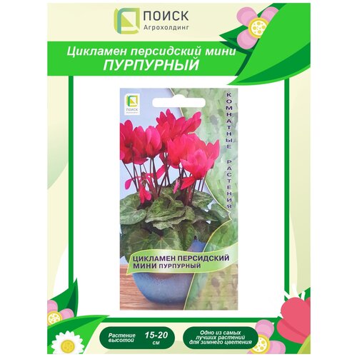 ������ ������ ������ �������� ���������� ���� ��������� ��������� 2 ��. ����