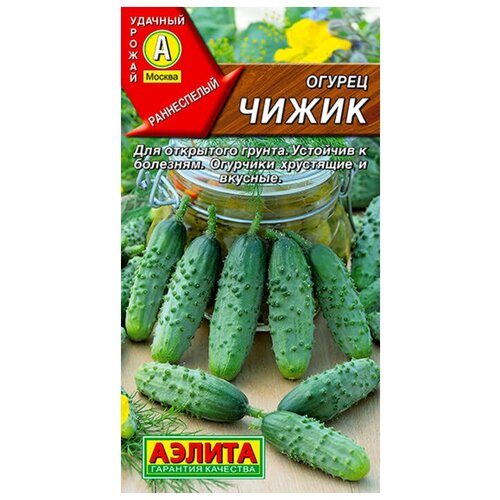 ������ ������ ������. ������ 