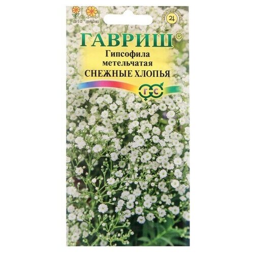 ������ ������ ��������� ����������� ������� ������ ����