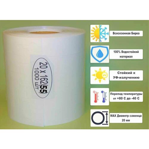 ������ ������ ����� ������� 20�162 (1000 ��.) ����