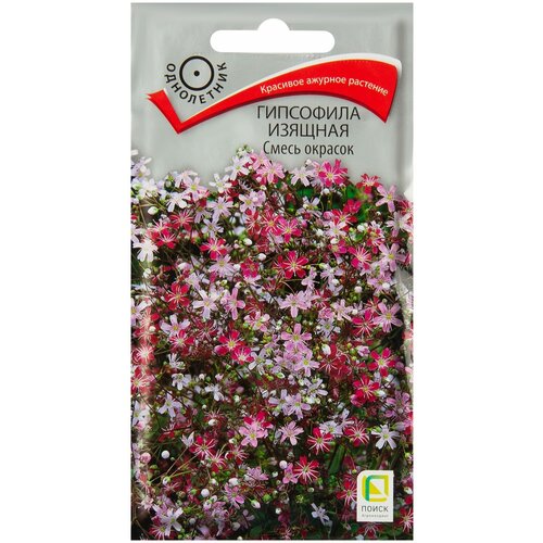 ������ ������ ��������� ������� ����� ������� 0.2 � ����