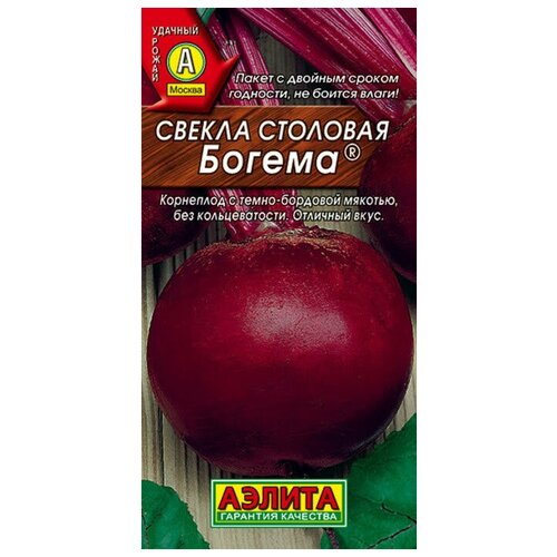 ������ ������ ������. ������ 