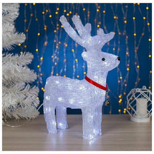 ������ ������ ����� ������������ ���������� 40�� ����