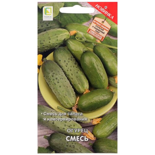 ������ ������ ������ ����� ������ �����, 20 ��. ����