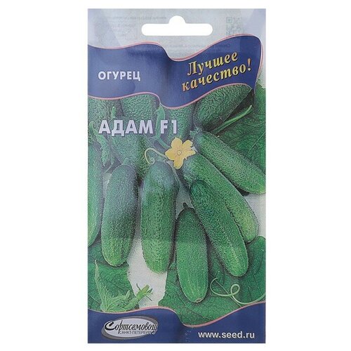 ������ ������ ������ ������ ����, f1, 6 ��. ����