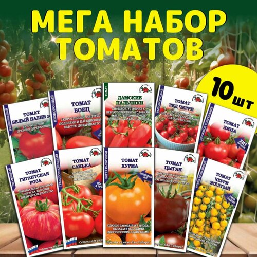 ������ ������ ������ ����������� ����������� � ����� ������� ����