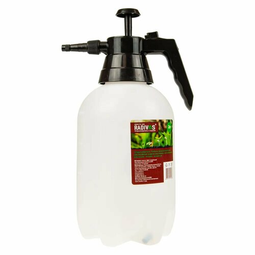 ������ ������ ����������� 