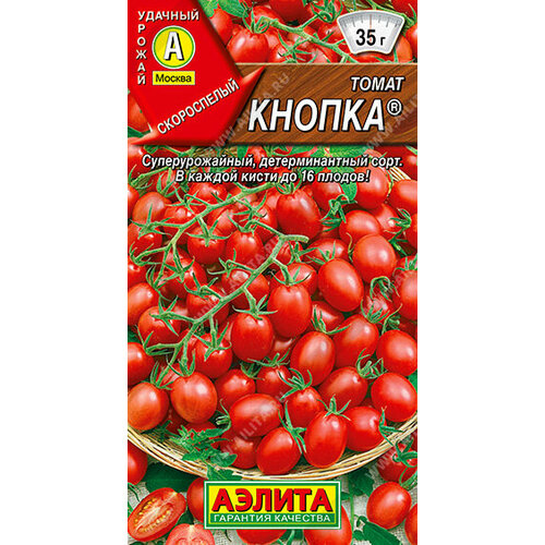 ������ ������ ������ ����� ������ ����� 20�� ��� (������) ����