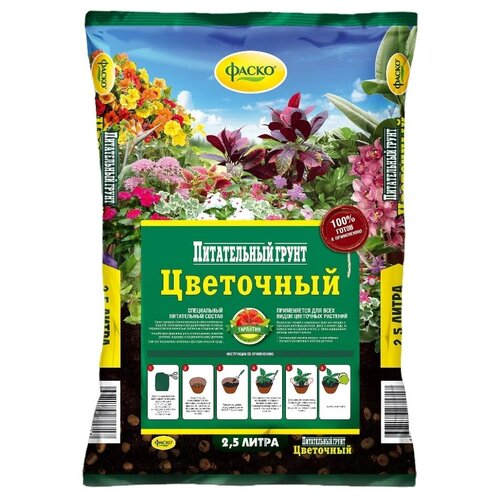 ������ ������ ����� ����� ���������, 2.5 �, 1.1 �� ����