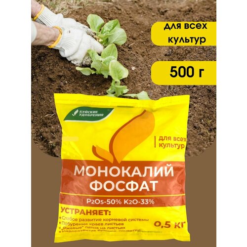 ������ ������ ��������� ��������������� (���������� �����), 0,5 �� ����