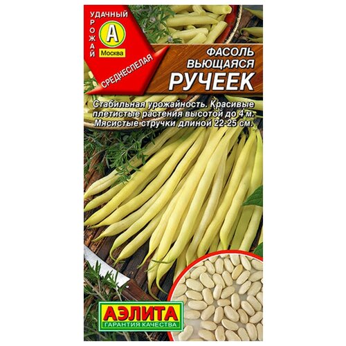 ������ ������ ������. ������ �������� 