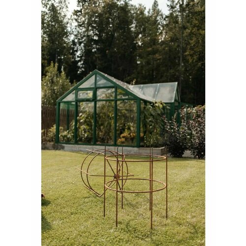 ������ ������ ���������� � ����� ������ d600 ����