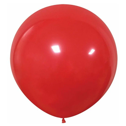 ������ ������ ����� ��������� XXL ��������, ������� 100 �� ����