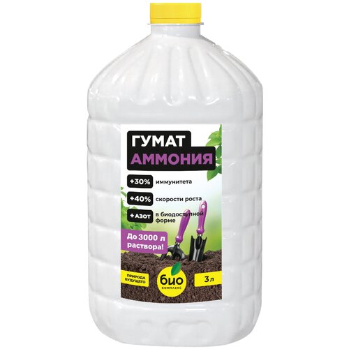 ������ ������ ��������� ���-�������� ����� �������, 3 �, 1 ��. ����